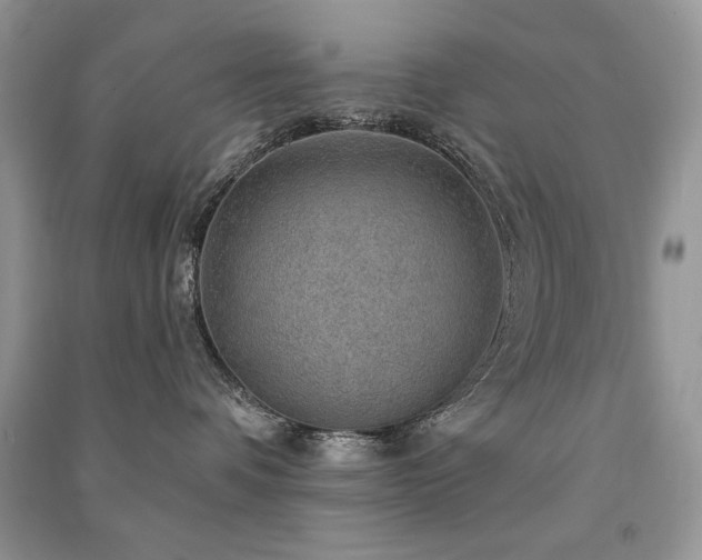 X0000091290336200708101251