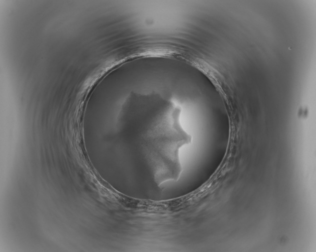 X0000091290337200708101251