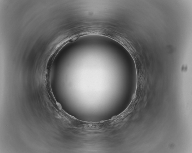 X0000091290338200708101251