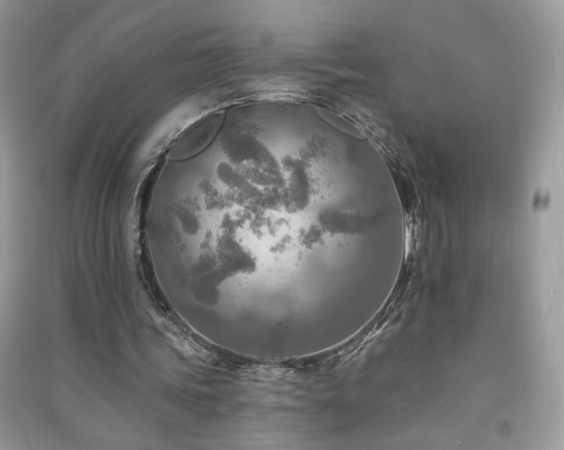 X0000091290339200708101251