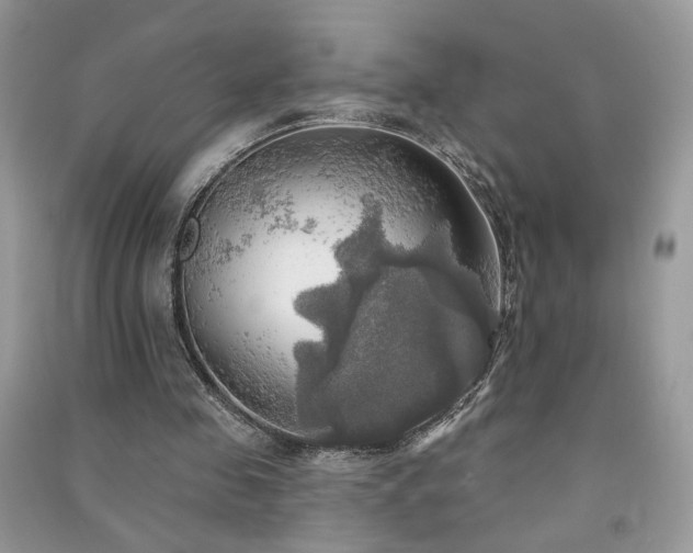 X0000091290341200708101251