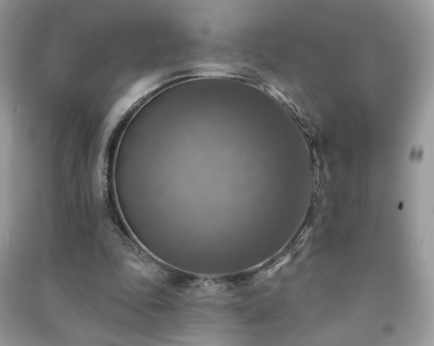 X0000091290343200708101251