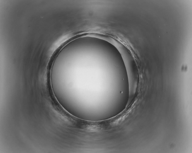 X0000091290344200708101251