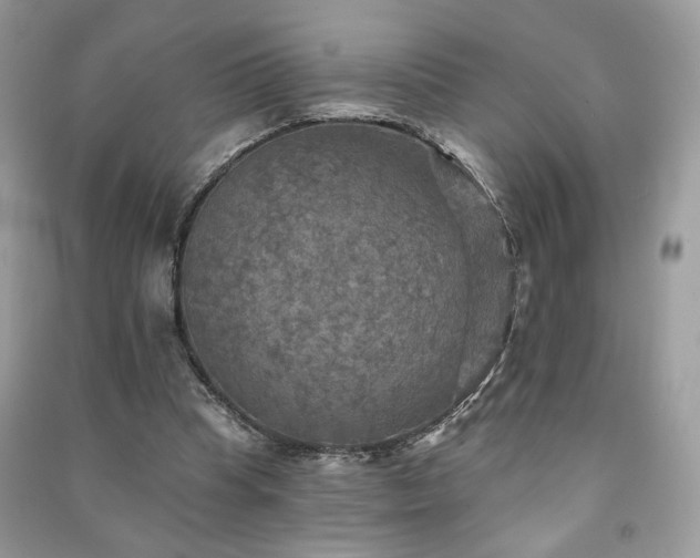 X0000091290345200708101251