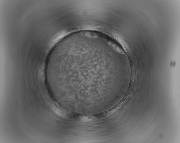 X0000091290346200708101251