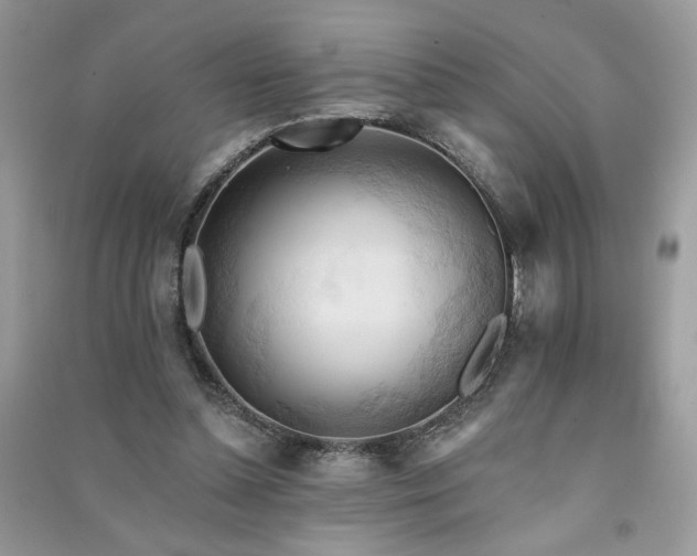 X0000091290348200708101251