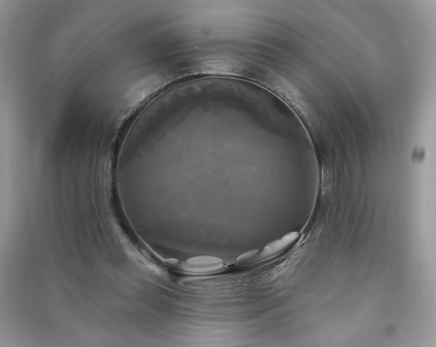 X0000091290349200708101251