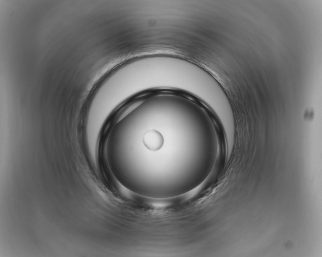 X0000091290350200708101251