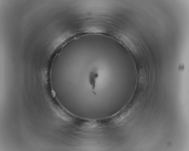 X0000091290351200708101251