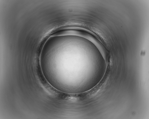 X0000091290352200708101251