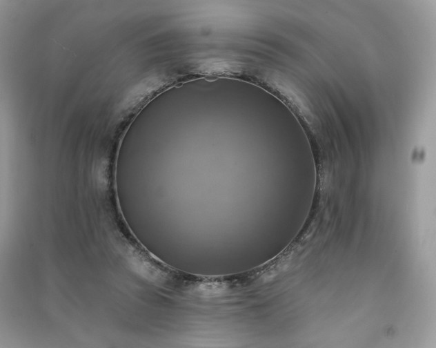 X0000091290353200708101251