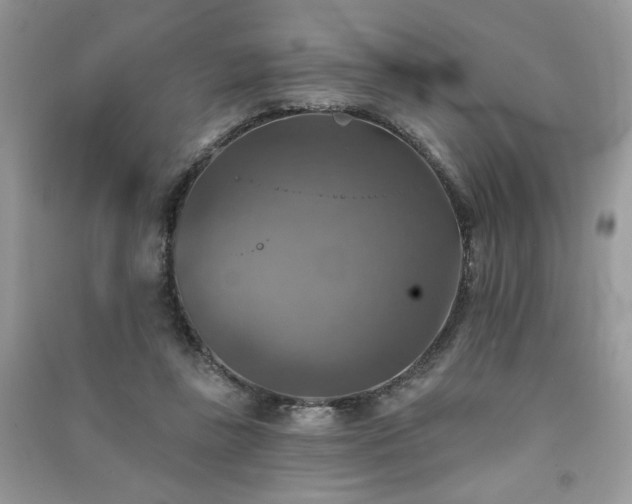 X0000091290355200708101251