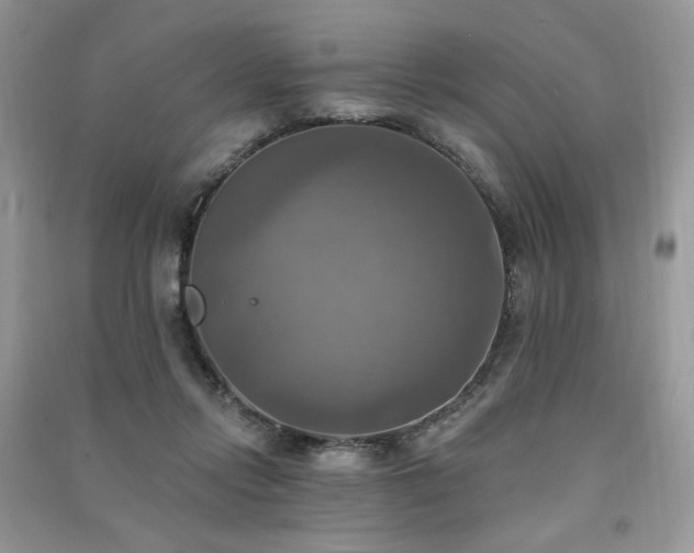 X0000091290358200708101251