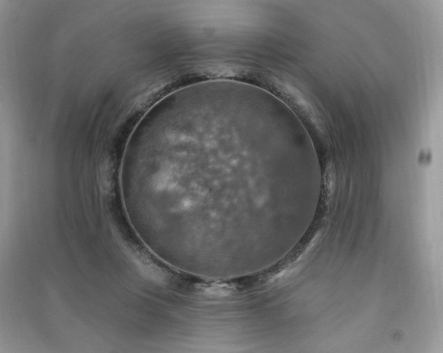 X0000091290359200708101251