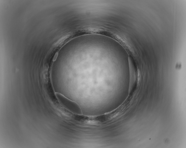 X0000091290360200708101251