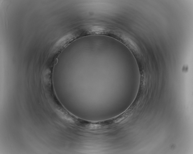 X0000091290361200708101251