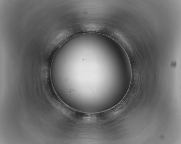 X0000091290362200708101251