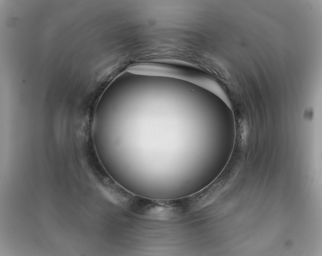 X0000091290364200708101251