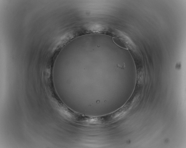 X0000091290365200708101251