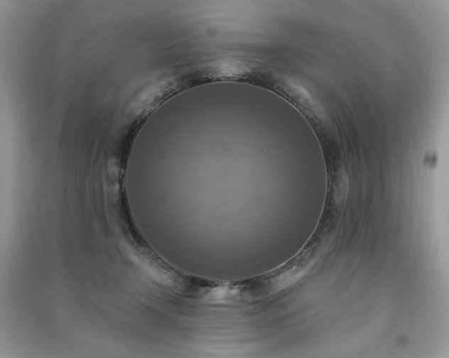 X0000091290366200708101251