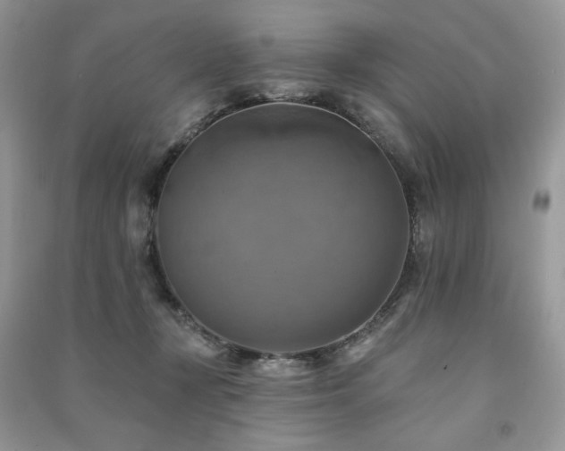 X0000091290367200708101251