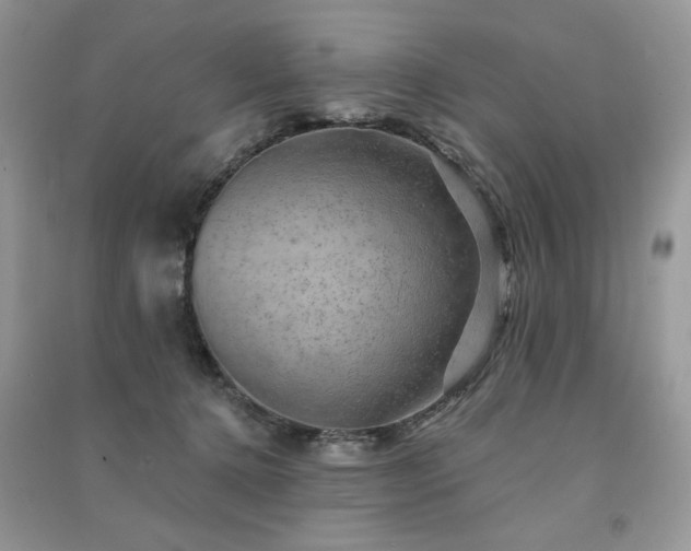 X0000091290368200708101251