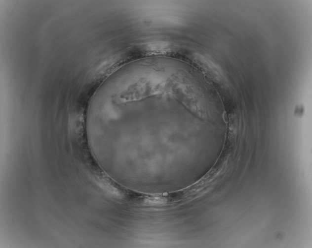 X0000091290369200708101251