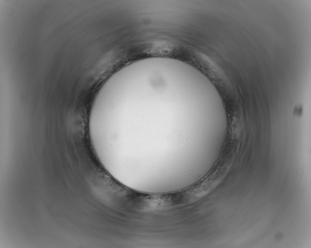 X0000091290370200708101251