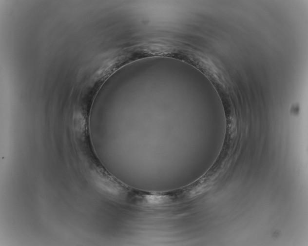 X0000091290371200708101251