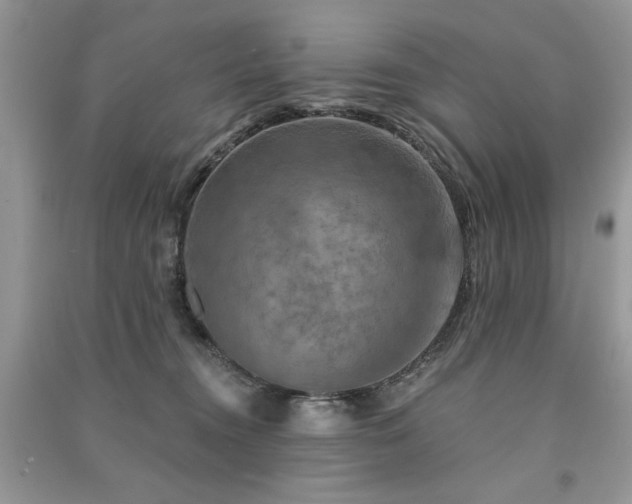 X0000091290372200708101251