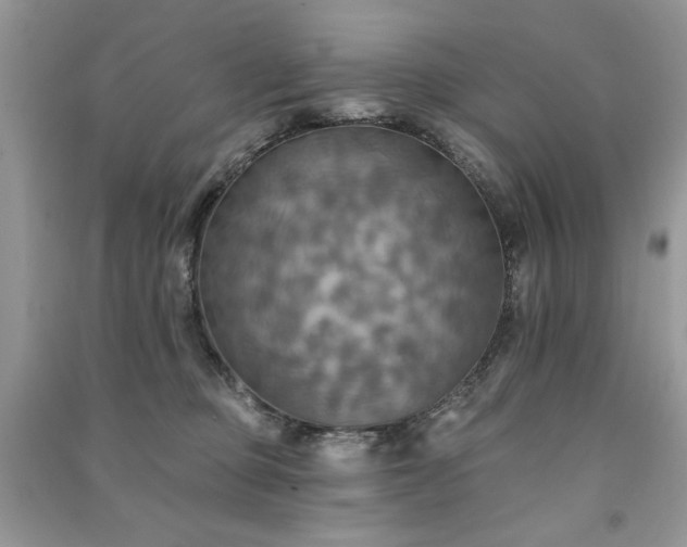 X0000091290373200708101251