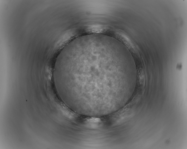 X0000091290374200708101251