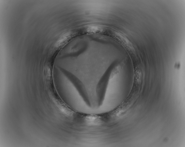 X0000091290375200708101251