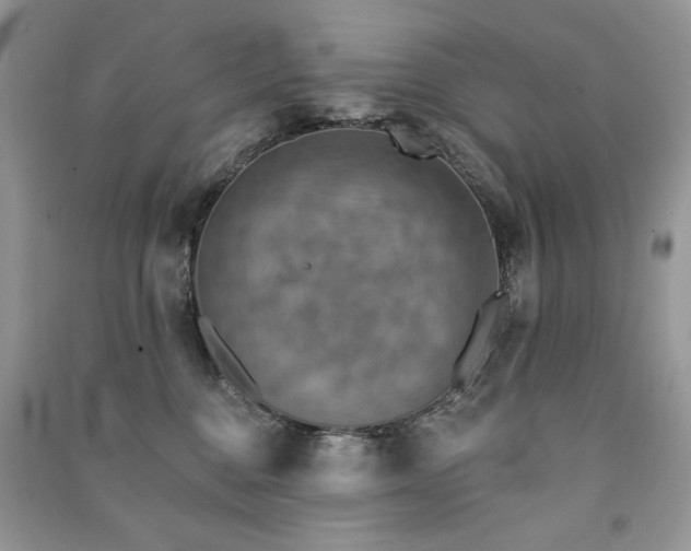 X0000091290376200708101251