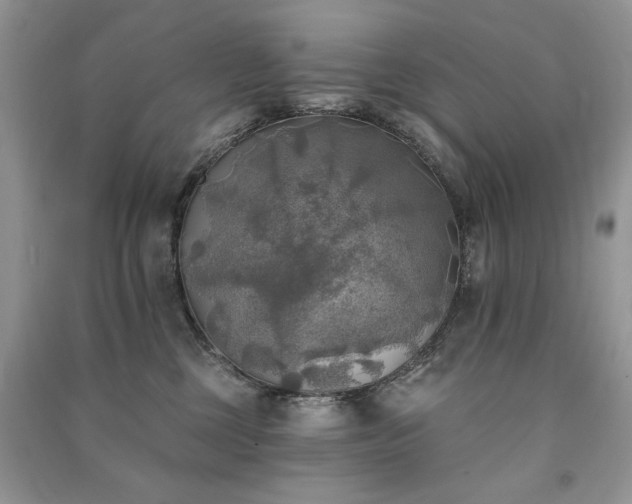 X0000091290377200708101251