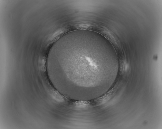 X0000091290378200708101251