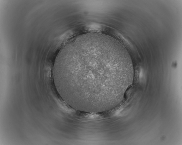 X0000091290379200708101251