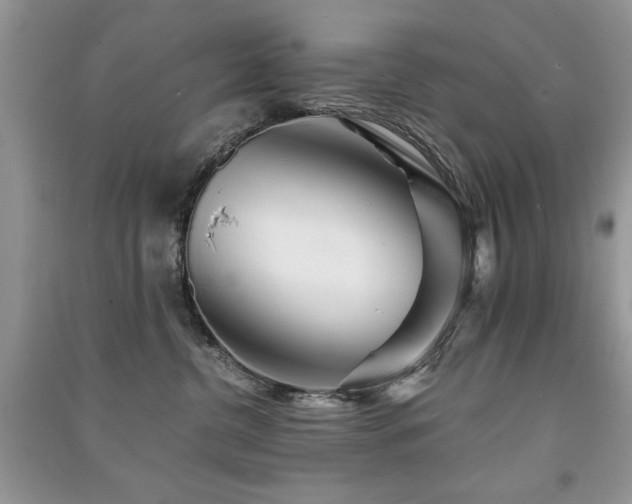 X0000091290380200708101251