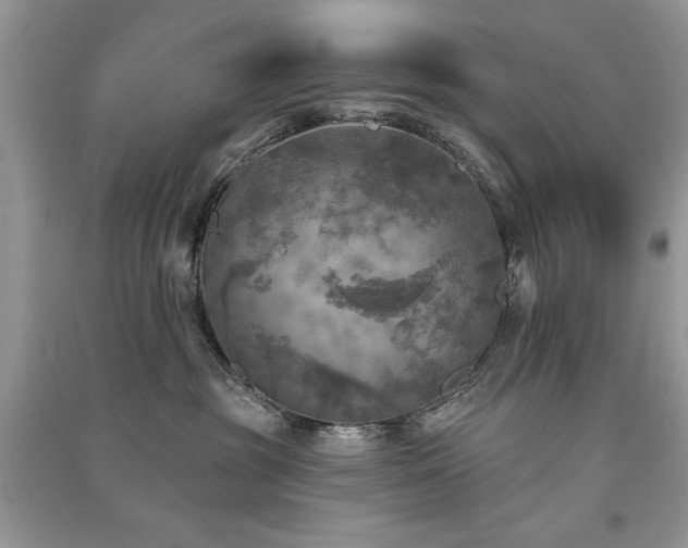 X0000091290381200708101251