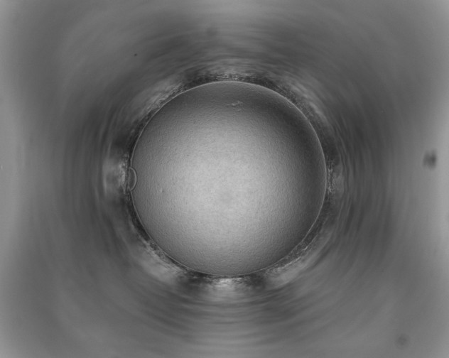 X0000091290382200708101251