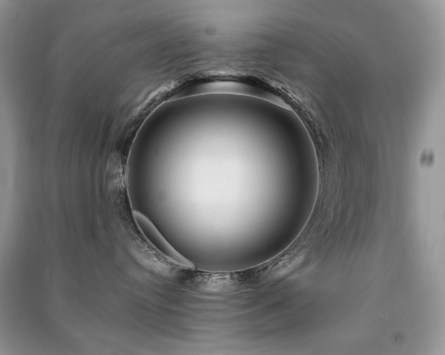 X0000091290384200708101251