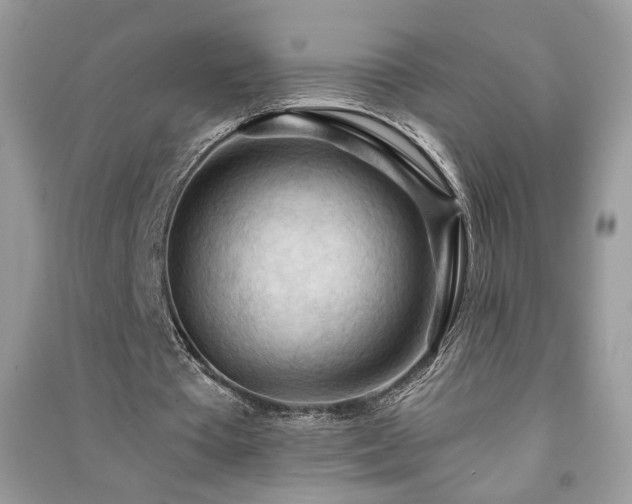 X0000091290385200708101251