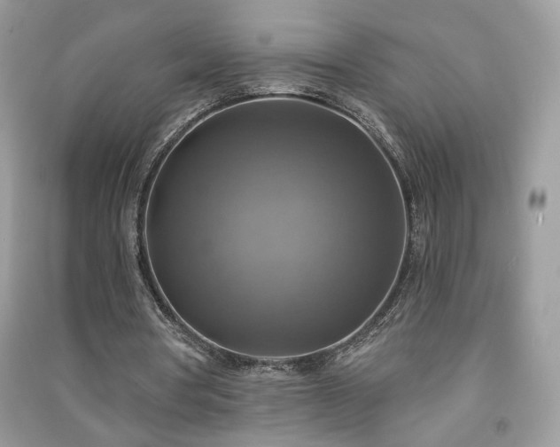 X0000091290386200708101251