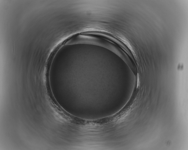 X0000091290387200708101251