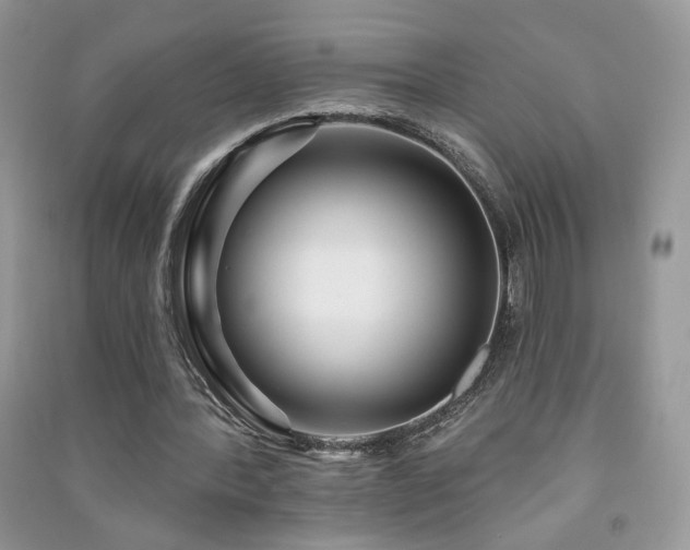 X0000091290388200708101251