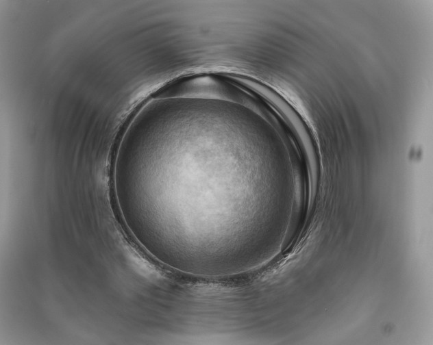 X0000091290389200708101251