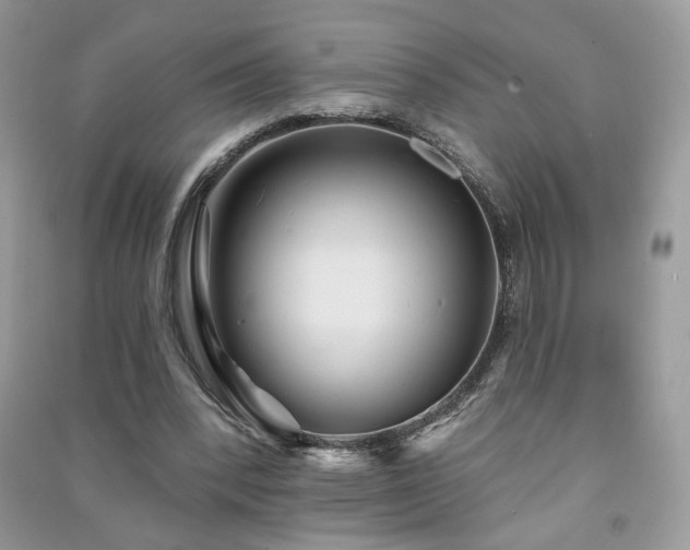 X0000091290392200708101251