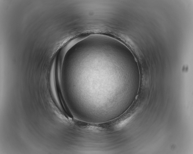 X0000091290393200708101251