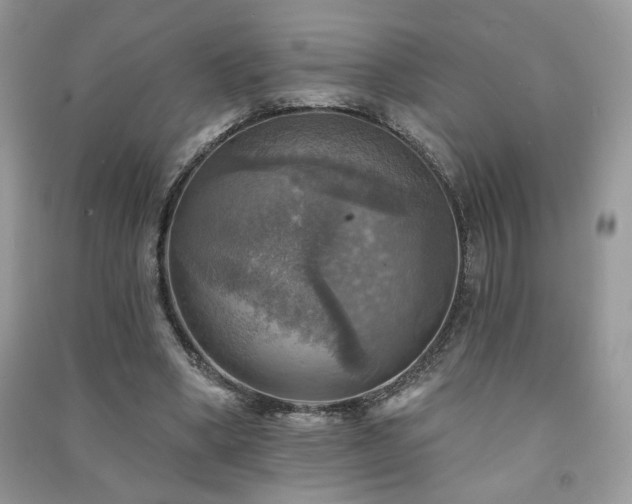 X0000091290394200708101251