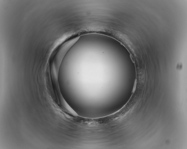 X0000091290395200708101250